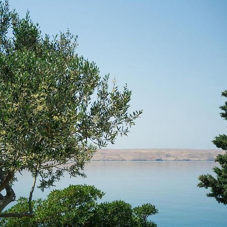 Baric Draga Daire Dış mekan fotoğraf