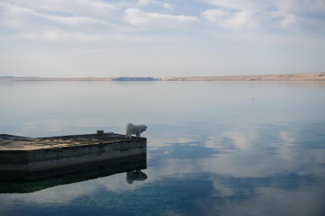 Baric Draga Daire Dış mekan fotoğraf
