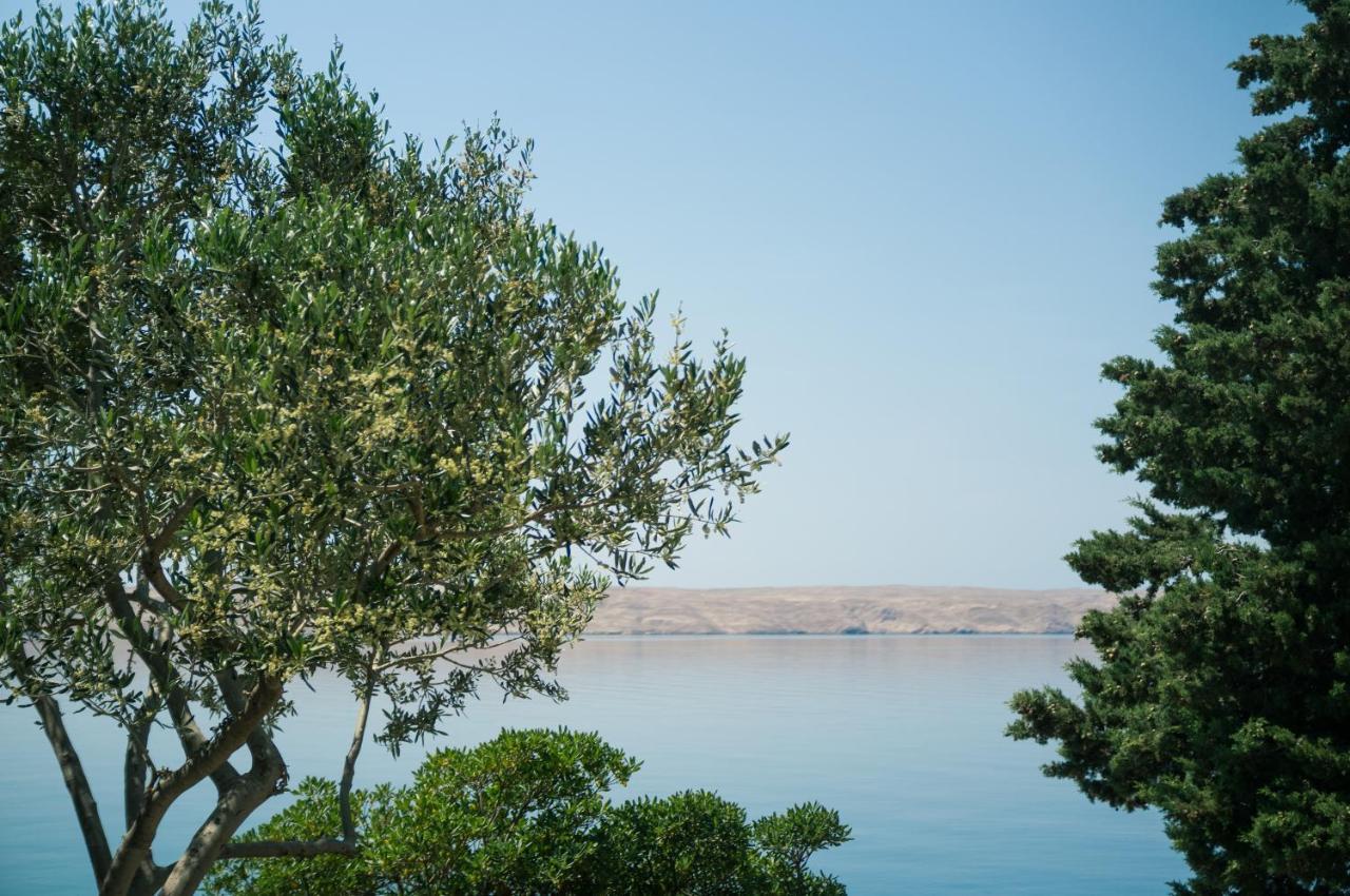 Baric Draga Daire Dış mekan fotoğraf